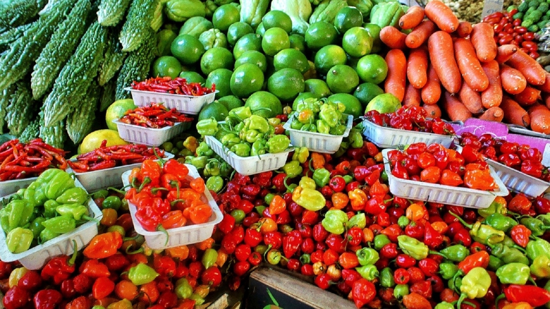 primeur-LA GARDE FREINET-min_farmers-market-1329008